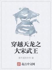 穿越天龙八部主角是大宋王爷