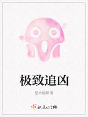 极致追凶之