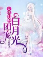 大佬们的团宠白月光中经典文段