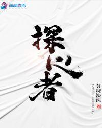 探心者歌曲