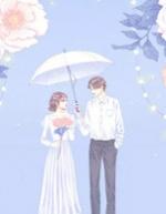 宋言顾瑾修