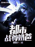 都市战尊奶爸 珊妹子
