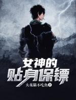 女神的贴身保镖叶天阳免费阅读