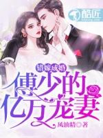 错嫁缠婚首付老公乖乖宠我