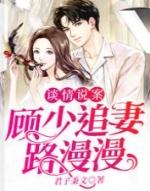 顾景琛 沈悠然