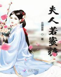 夫人免费阅读