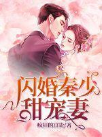 秦少的闪婚免费全集阅读