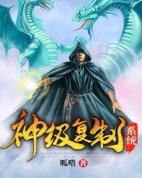 神级复制系统 夜阑