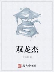 双龙杰米