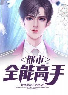 都市全能高手季风