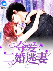 叶少的夺爱婚妻听