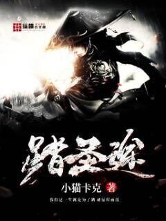 踏圣途txt