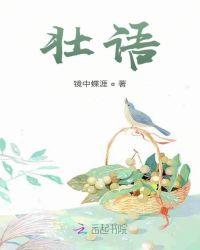 壮语的英文缩写