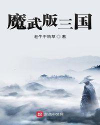 魔武版三国免费阅读