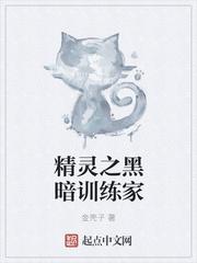 精灵之黑暗训练家女主排雷
