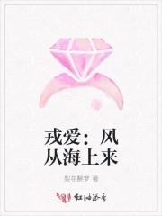 戎爱风从海上来讲的是什么