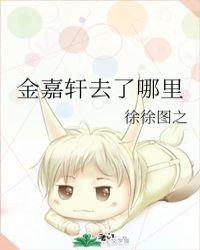 金嘉轩去了哪里 评价