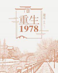 重生1978收古董