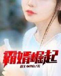 上门女婿叶辰免费阅读 小