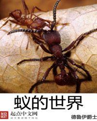 绘本蚂蚁的世界