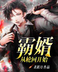 霸婿从轮回开始结局是什么