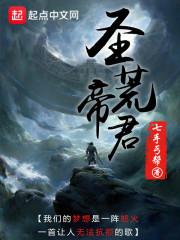 后圣帝君