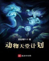 动物天堂鸟的图片