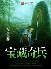 电视剧宝藏传奇
