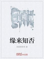 浮图缘学知否