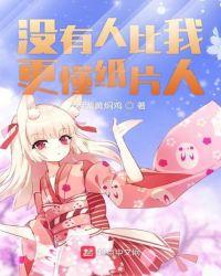 没有人比我更懂纸片人九章