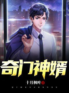 奇门废婿免费