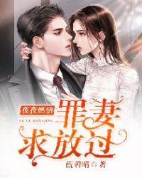 夜夜燃情罪妻求放过共多少集