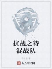 抗战之特战兵王全文免费阅读