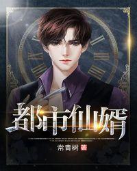 都市仙婿全集播放