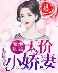 爹地很猛天价小娇妻人物介绍