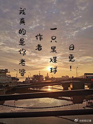 我真的是你老婆英文