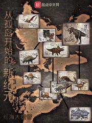 穿越从孤岛飞鹰开始