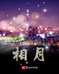 相册里面的照片删除了怎么找回来