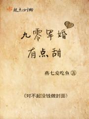 九零军婚甜宠完结文