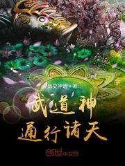 武道神通行诸天免费阅读