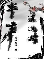 半生逍遥游txt