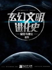 关于人类文明进化的