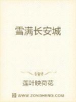 雪满长安免费观看