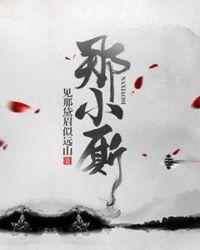 那小厮怎么样