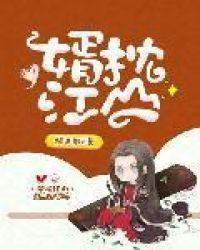 婿枕江山全本TXT