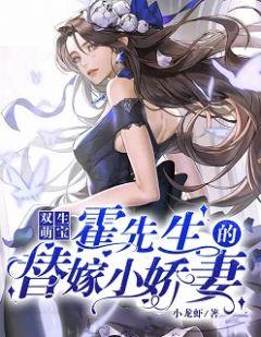 主角盛夏霍霆琛
