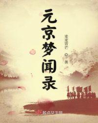 元京梦闻录书评