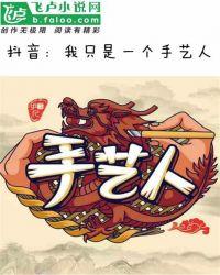 抖音我只是一个手艺人txt9o云书网