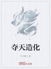 夺天造化决的