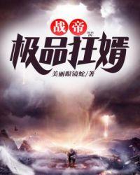 极品帝婿陈平